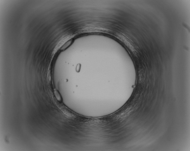 X0000097810885200804041334