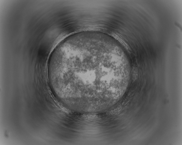 X0000097810886200804041334