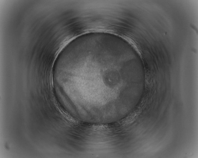 X0000097810887200804041334