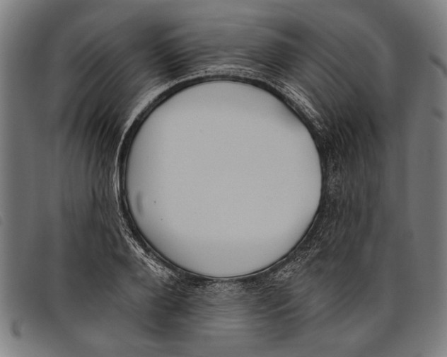 X0000097810888200804041334