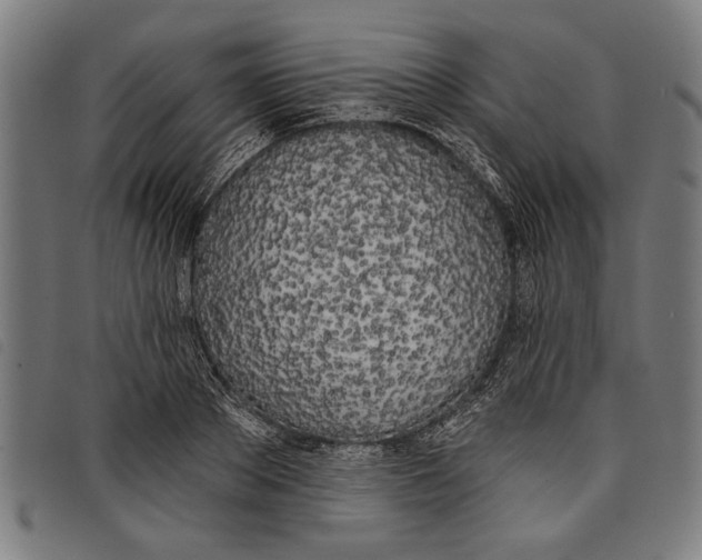 X0000097810889200804041334