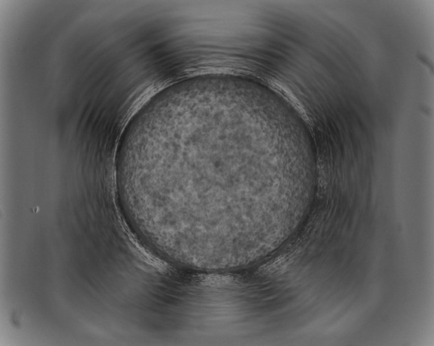 X0000097810890200804041334