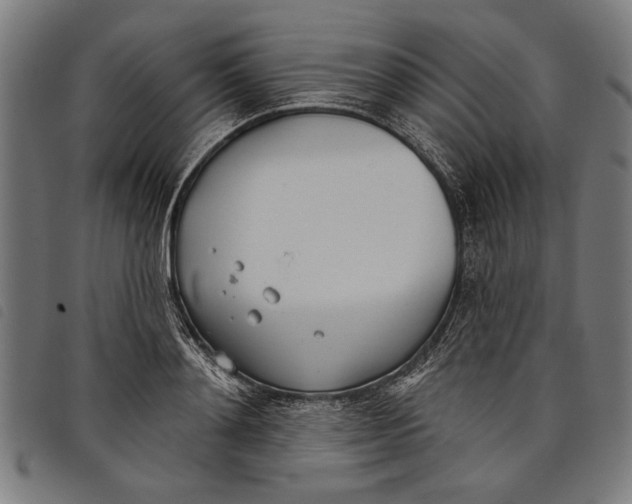 X0000097810892200804041334