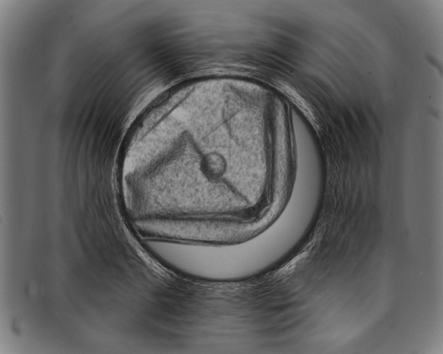 X0000097810893200804041334