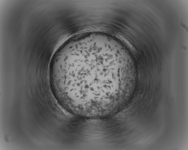 X0000097810894200804041334