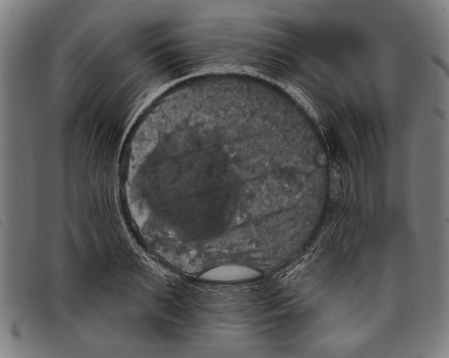 X0000097810895200804041334