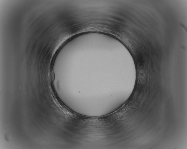 X0000097810896200804041334