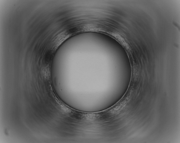 X0000097810897200804041334