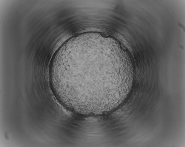 X0000097810898200804041334