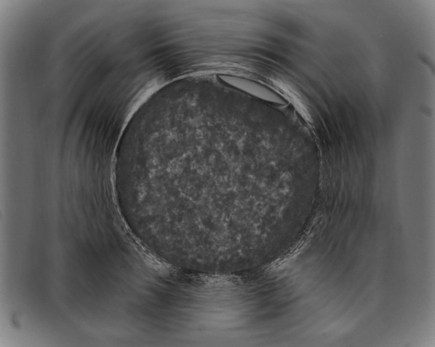 X0000097810899200804041334