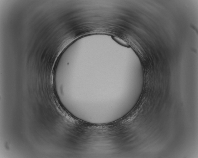 X0000097810900200804041334