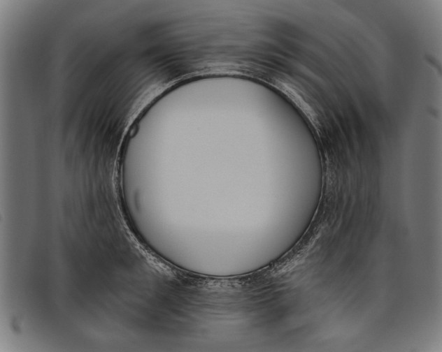 X0000097810901200804041334