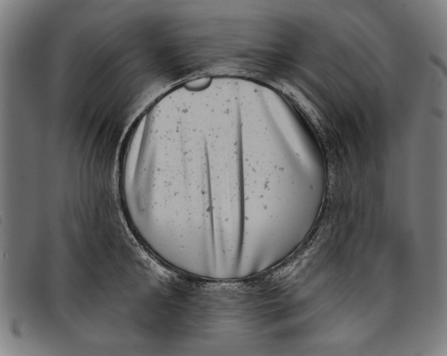 X0000097810902200804041334