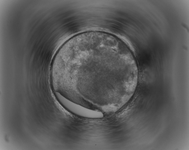 X0000097810903200804041334