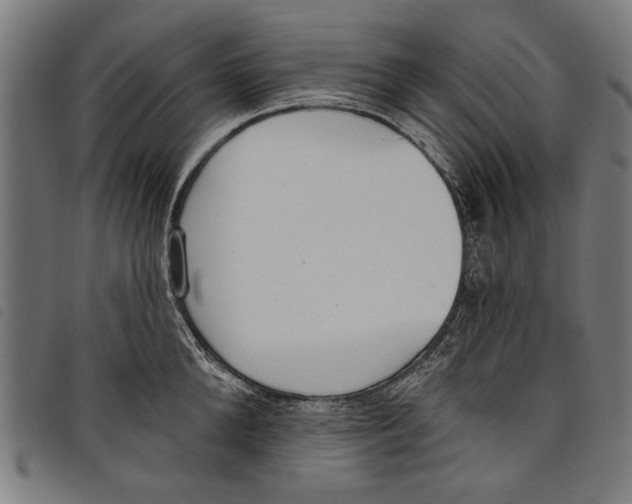 X0000097810904200804041334