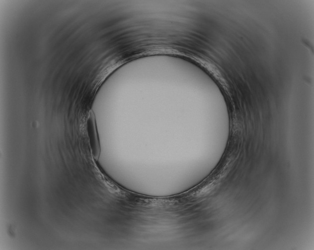 X0000097810905200804041334