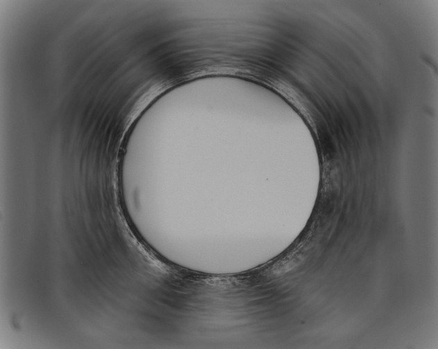 X0000097810906200804041334