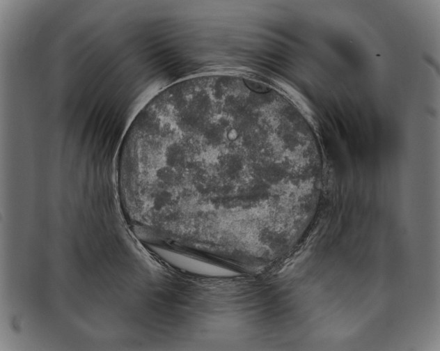 X0000097810907200804041334