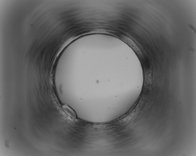 X0000097810908200804041334