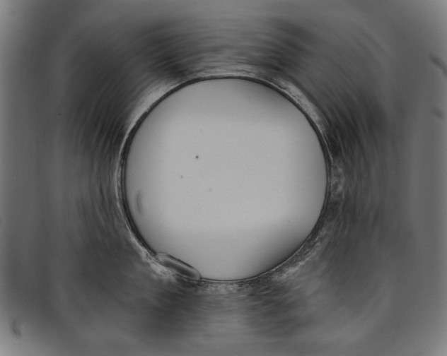 X0000097810909200804041334