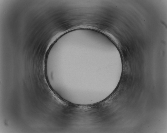 X0000097810910200804041334