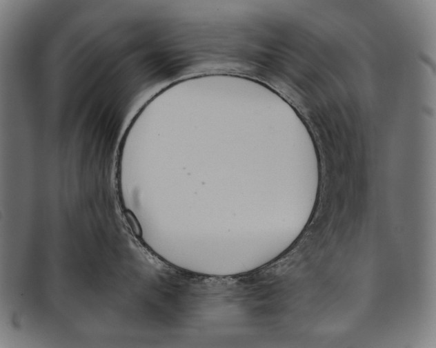 X0000097810912200804041334