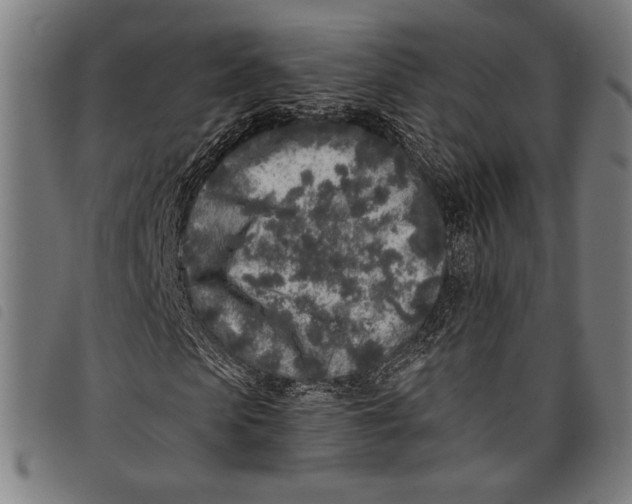 X0000097810913200804041333