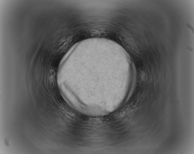 X0000097810914200804041333