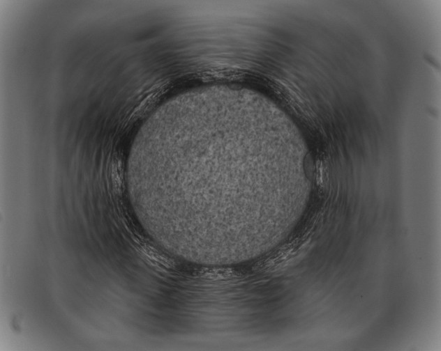 X0000097810915200804041333