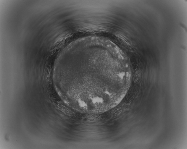 X0000097810917200804041333