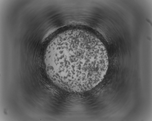 X0000097810919200804041333