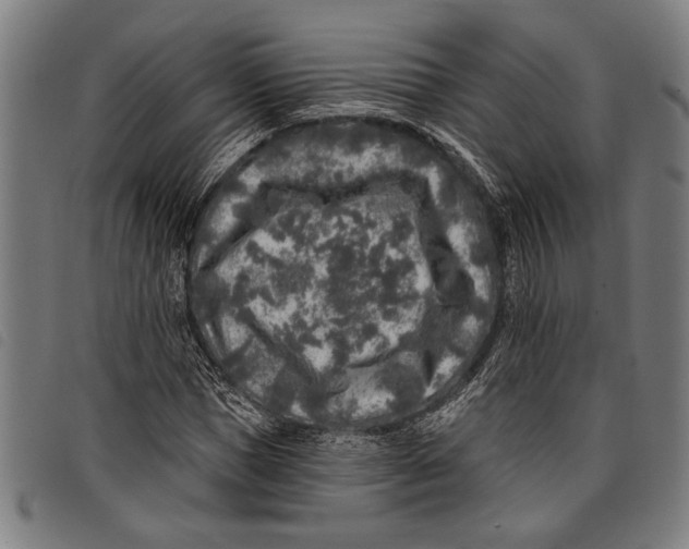 X0000097810921200804041333