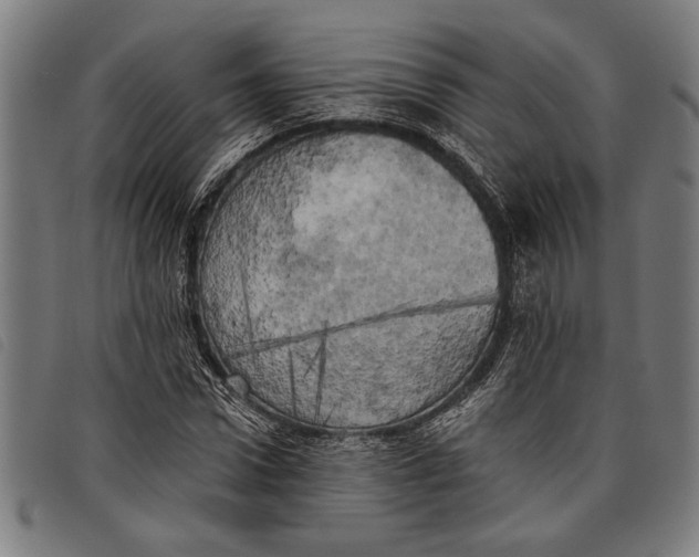 X0000097810922200804041333