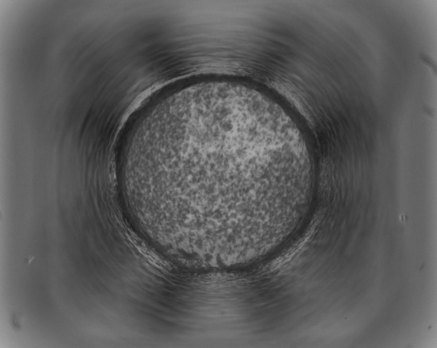 X0000097810923200804041333