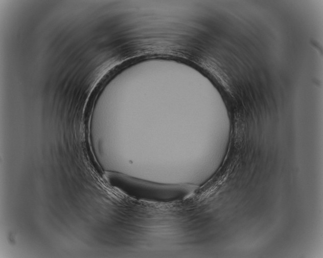 X0000097810924200804041333