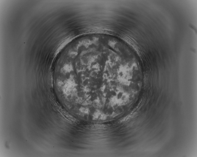 X0000097810925200804041333