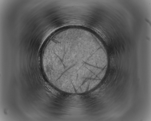 X0000097810926200804041333