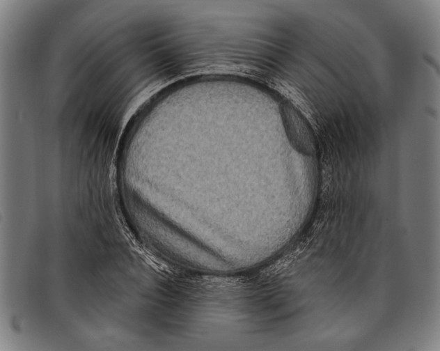 X0000097810928200804041333