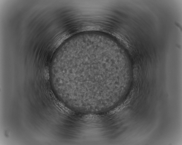 X0000097810929200804041333