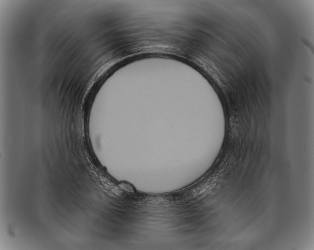 X0000097810931200804041333