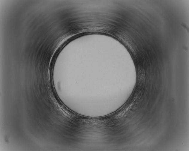 X0000097810932200804041333