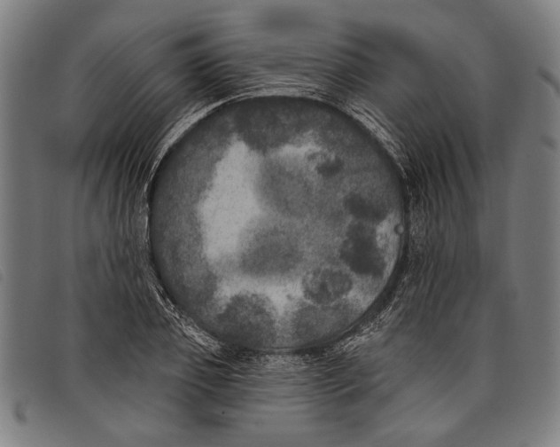 X0000097810933200804041333