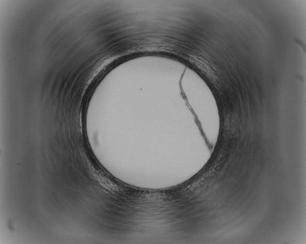 X0000097810934200804041333