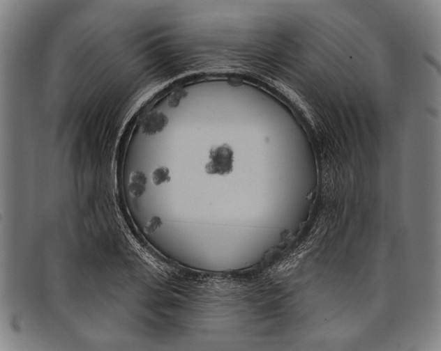 X0000097810935200804041333