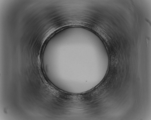 X0000097810936200804041333