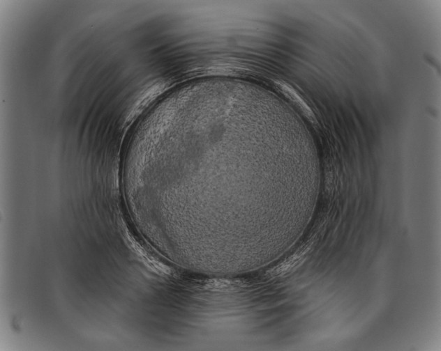 X0000097810938200804041333