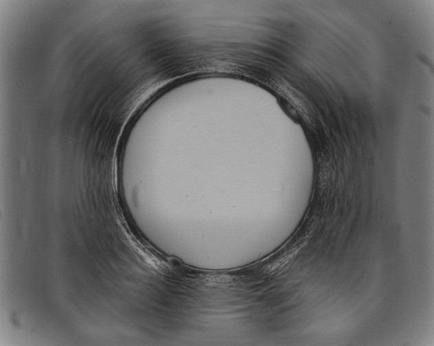 X0000097810940200804041333