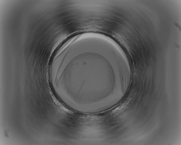 X0000097810941200804041333