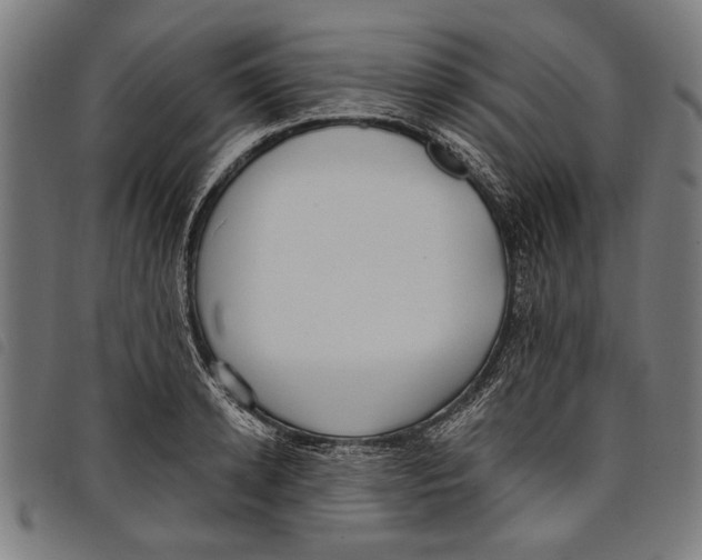 X0000097810942200804041333