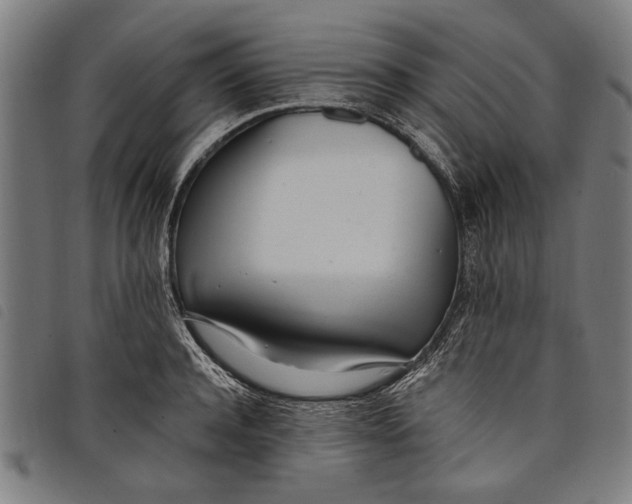 X0000097810944200804041333